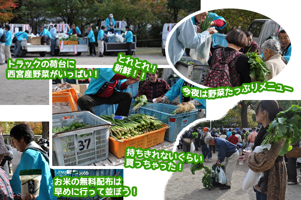 農業祭