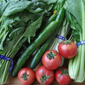 栄養たっぷり新鮮な西宮産野菜