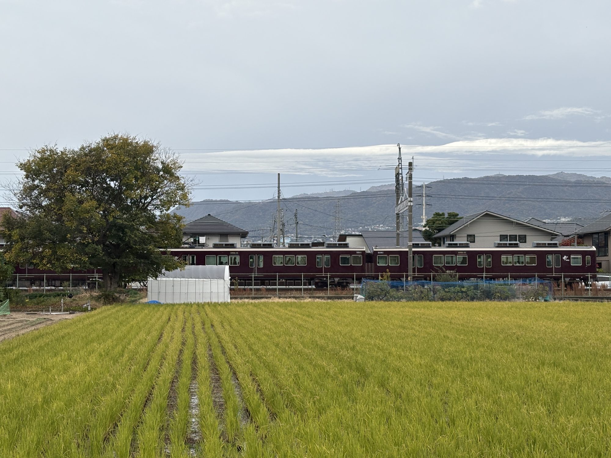 田んぼの奥に阪急電車が走っている