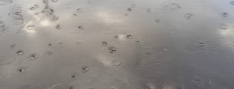 田植え前の雨が降っている田んぼ
