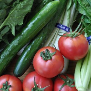 <span class="title">8月31日は「野菜の日」</span>