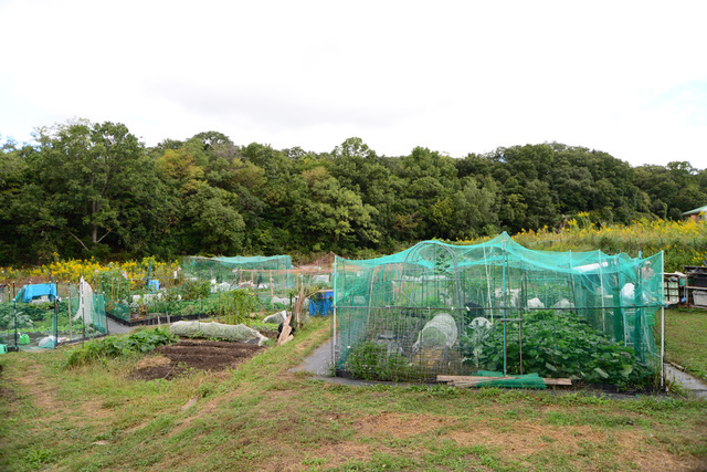 下山口市民農園