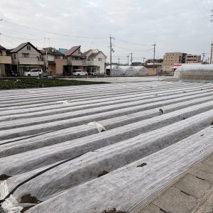 <span class="title">雪？真っ白な畑に近づいてみると</span>