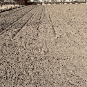 <span class="title">年が明けると田んぼの準備が始まっていた！！</span>