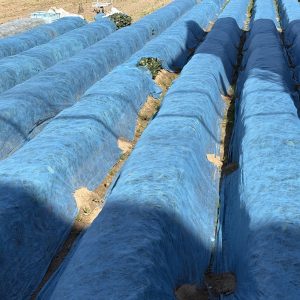 <span class="title">畑の変化で感じる春のおとずれ</span>