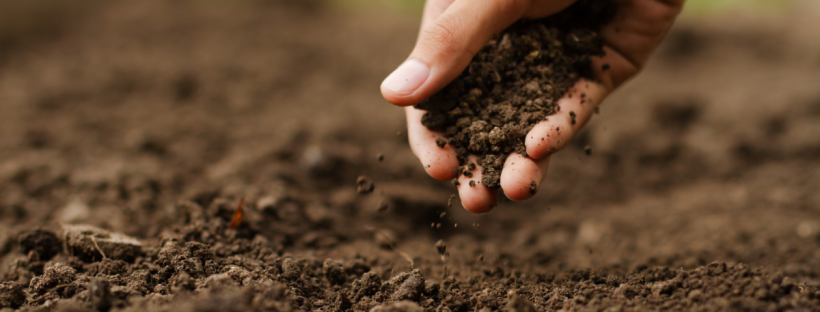 農業・土イメージ画像